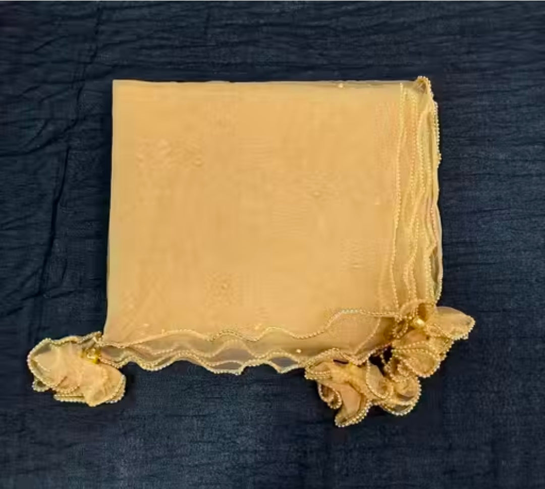Ravishing Fashionable Women Dupatta