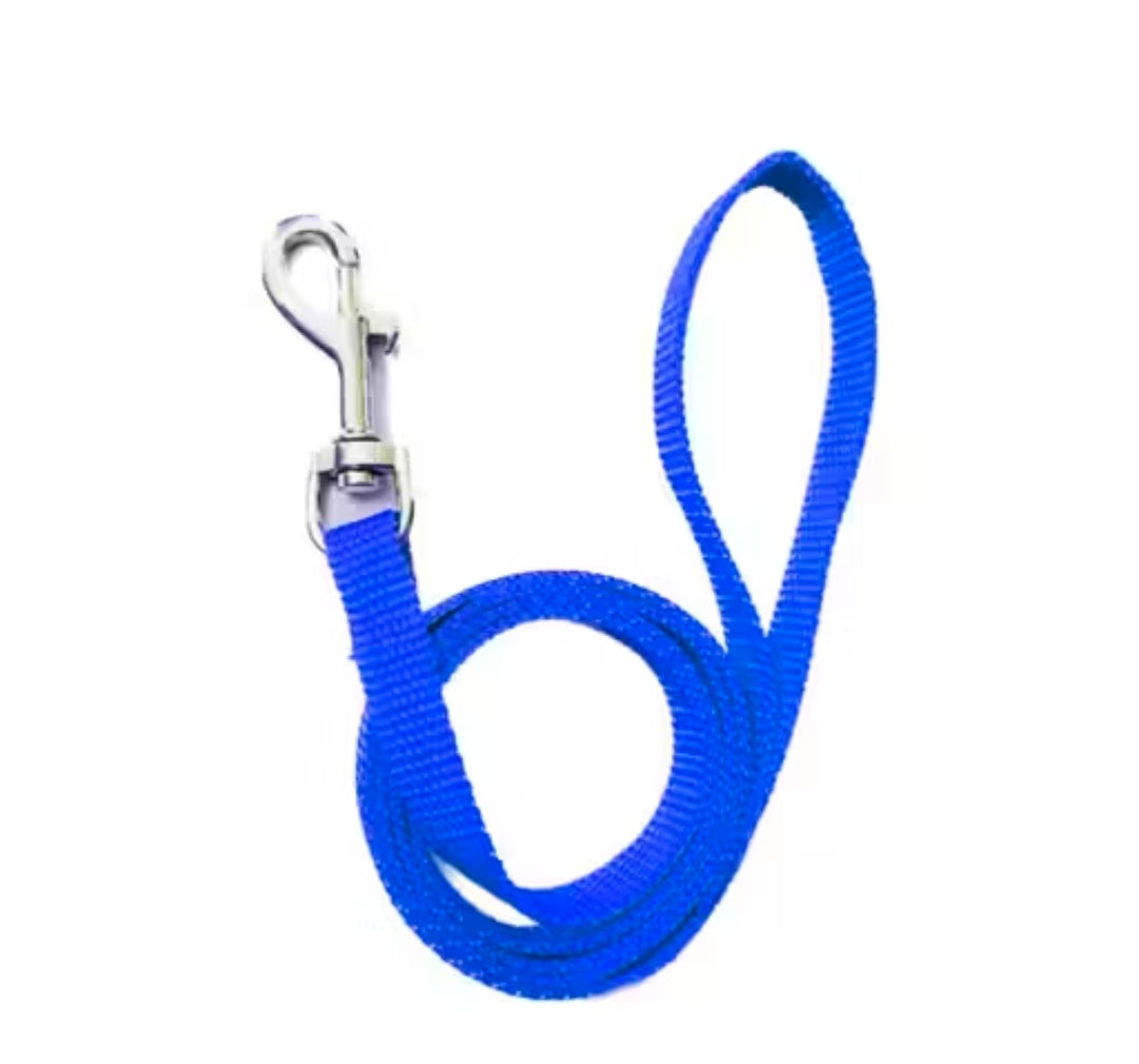 Pet Needs Nylon Dog Ghungroo Collar and Leash Set for Small puppies and dogs ( Only for small puppies ) 0.5 inch collar and 1.5 m Rope