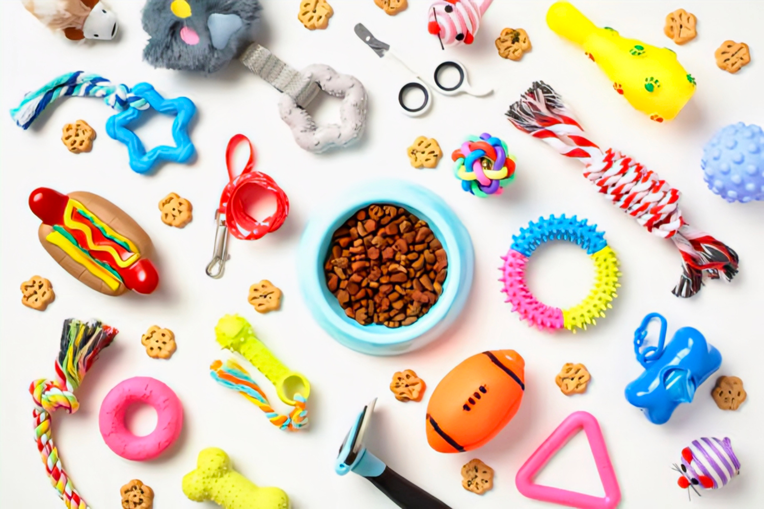 Pet Care Products