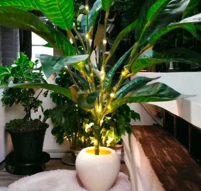 EDEN Set Of 2 big natural looking beautiful Areca Palam with pot and light