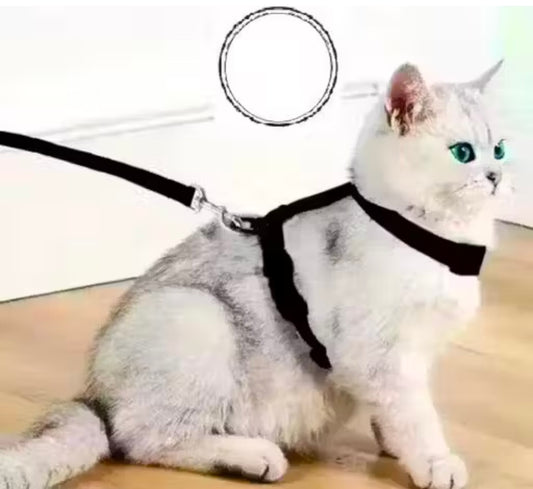 Dosan Adjustable  Black Cat Harness with Leash for All Cats & Kitten easy to fit
