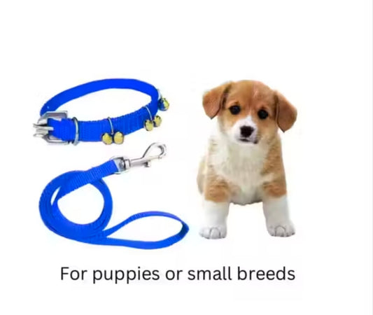 Pet Needs Nylon Dog Ghungroo Collar and Leash Set for Small puppies and dogs ( Only for small puppies ) 0.5 inch collar and 1.5 m Rope