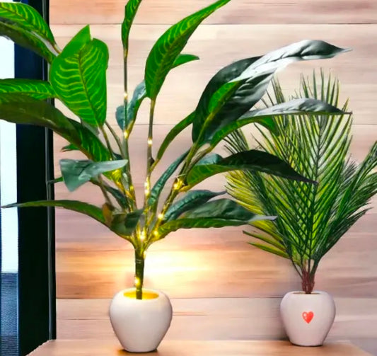 EDEN Set Of 2 big natural looking beautiful Areca Palam with pot and light