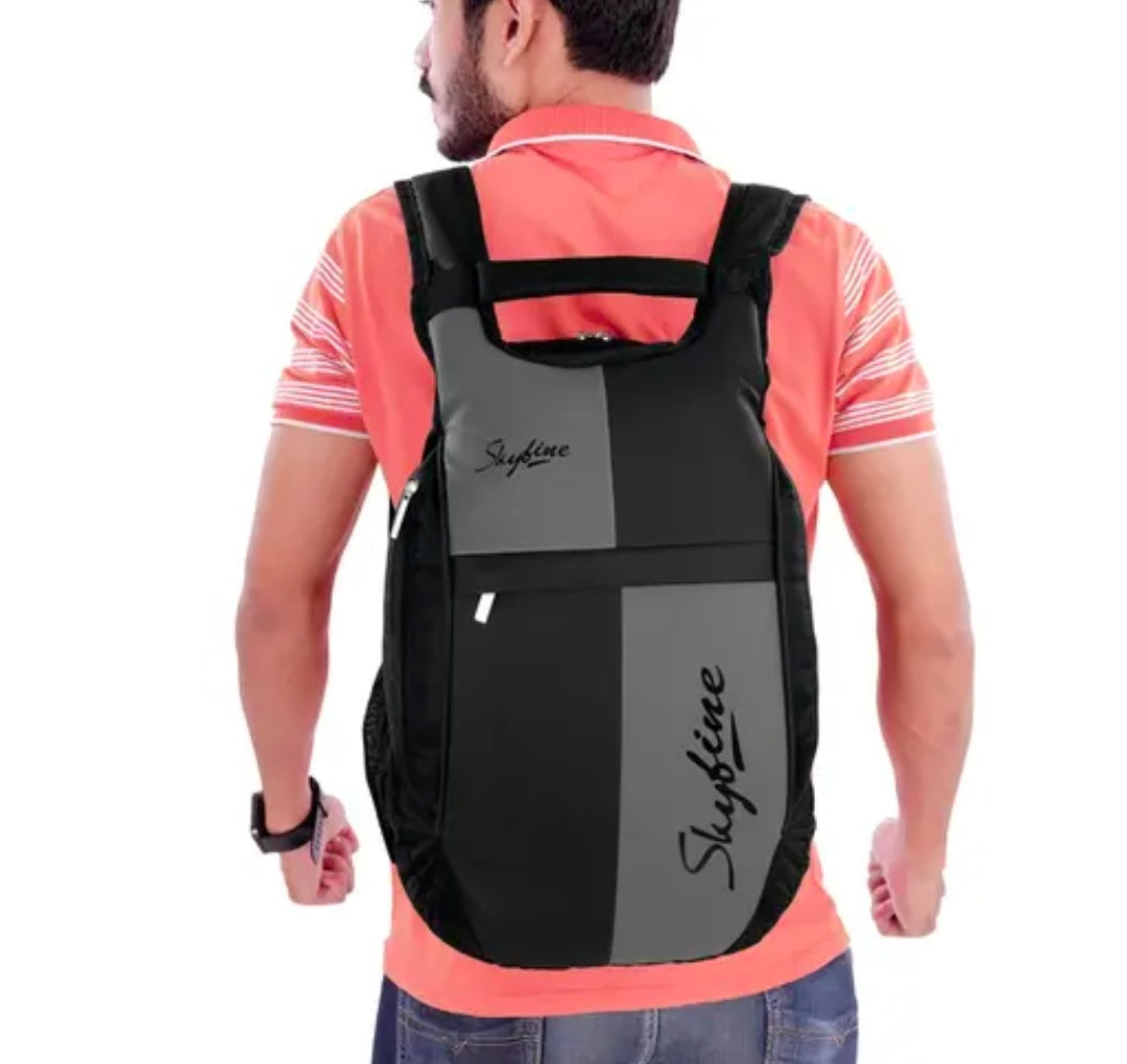 Medium 25 L Laptop Backpack Light Weight High Quality Backpack For School College And Office (Blue, Grey)