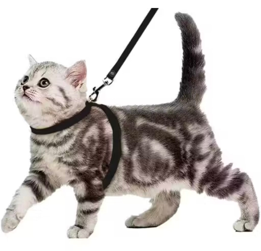 Dosan Adjustable  Black Cat Harness with Leash for All Cats & Kitten easy to fit