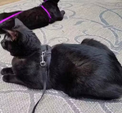 Dosan Adjustable  Black Cat Harness with Leash for All Cats & Kitten easy to fit
