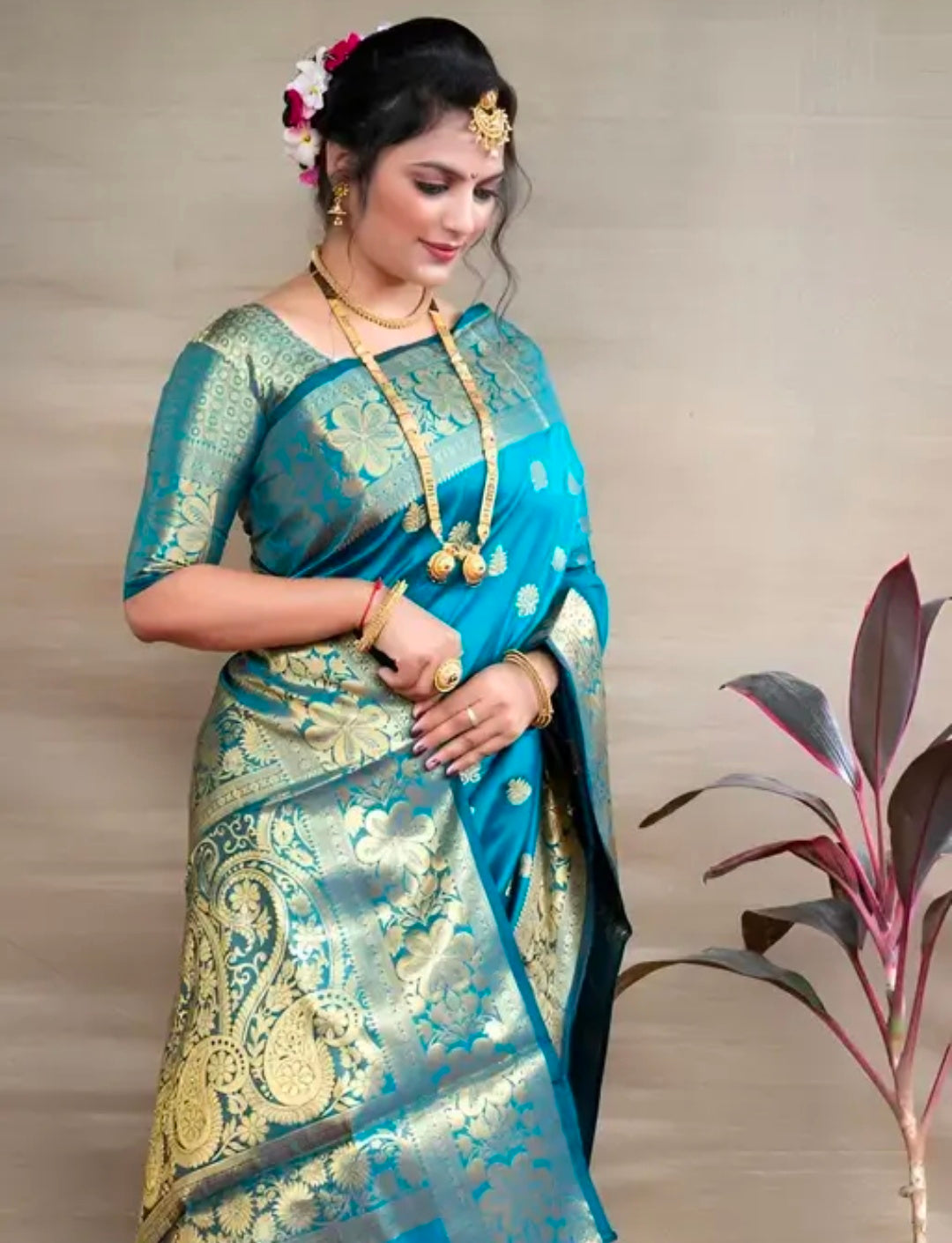 Soli Marathi Pethani Pure Silk Saree For Women