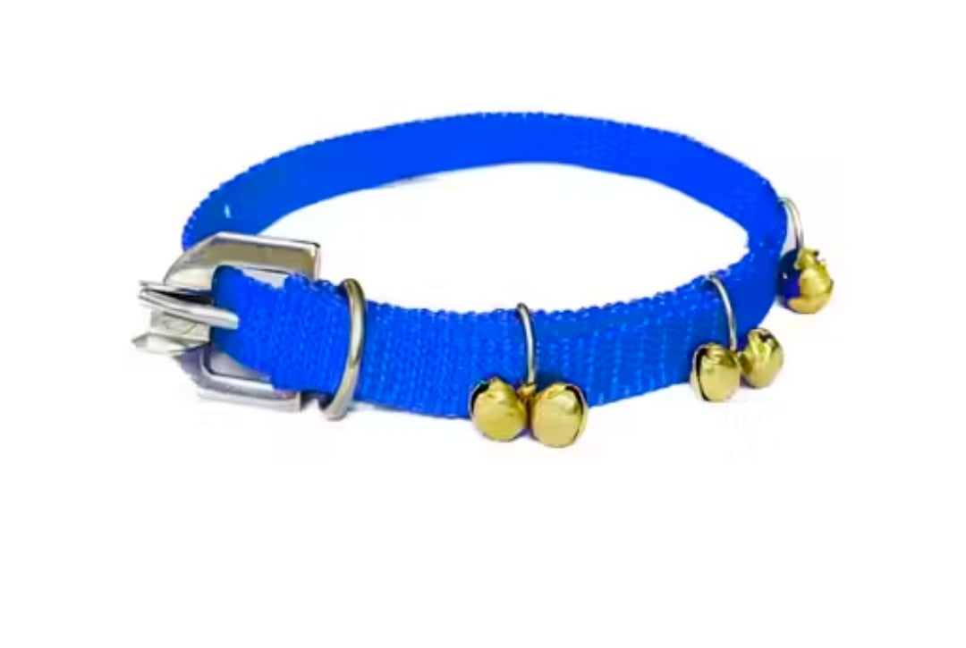Pet Needs Nylon Dog Ghungroo Collar and Leash Set for Small puppies and dogs ( Only for small puppies ) 0.5 inch collar and 1.5 m Rope